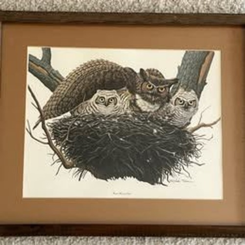 Vintage Richard Sloan Great Horned Owl Matted & Framed Lithograph Print 15x18